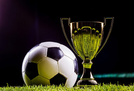 支付不菲转 支付不菲转